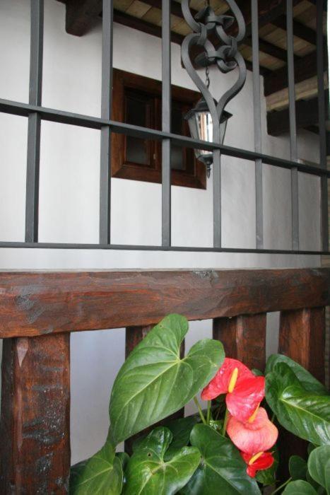 Hostal Torre De Guzman Conil De La Frontera Eksteriør bilde